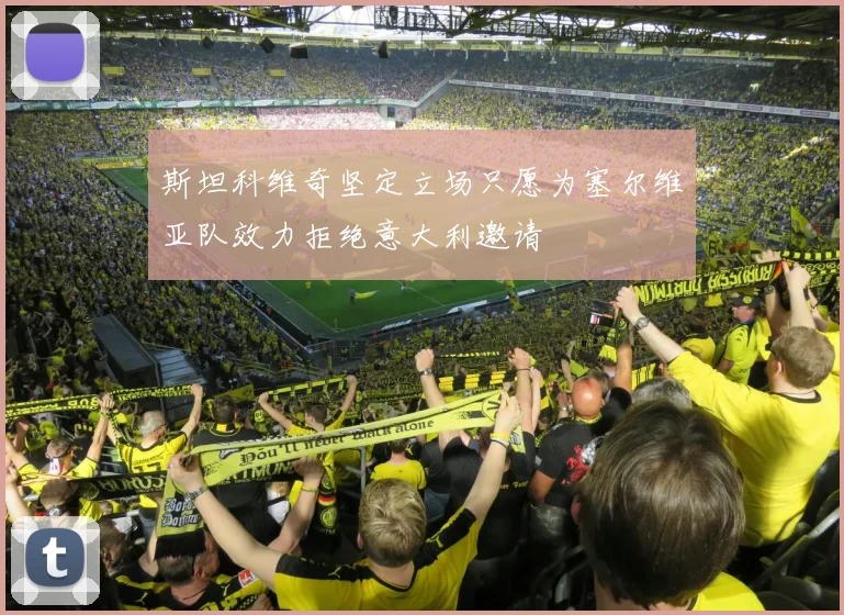 斯坦科维奇坚定立场只愿为塞尔维亚队效力拒绝意大利邀请