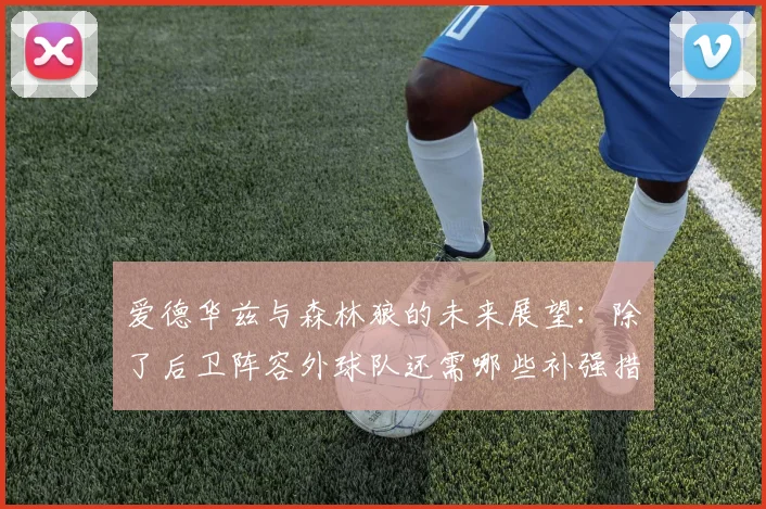 爱德华兹与森林狼的未来展望：除了后卫阵容外球队还需哪些补强措施