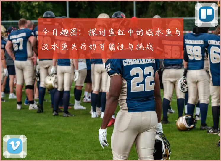 今日趣图：探讨鱼缸中的咸水鱼与淡水鱼共存的可能性与挑战